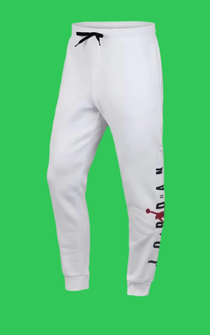 AIR JORDAN Pants