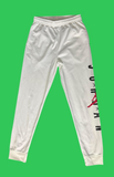 AIR JORDAN Pants